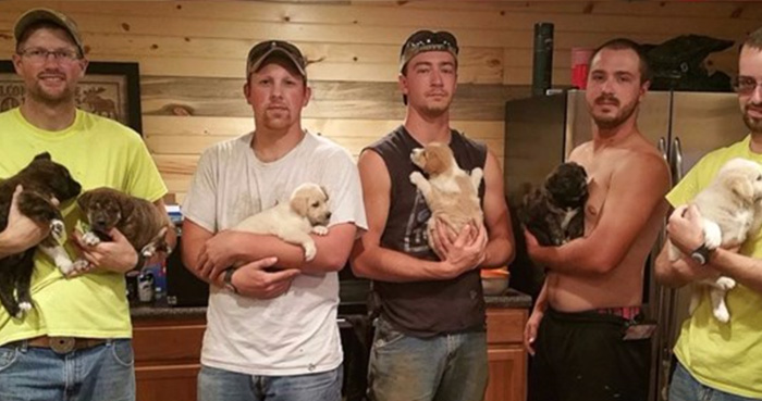 bachelor party finds dog and puppies rescues