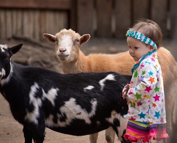 kids with autism zoo early admission