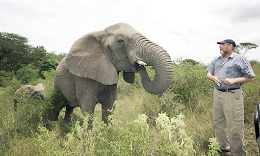 elephants attend vigil for man who rescued them