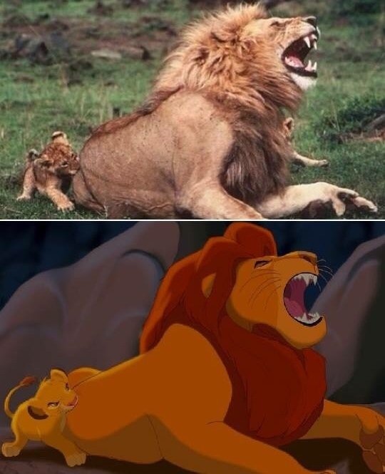 the lion king in real life