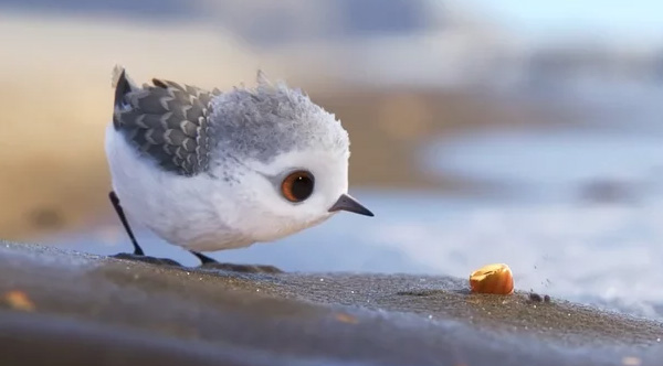 Disney-Pixar's New Short 'Piper' Is Absolutely Gorgeous