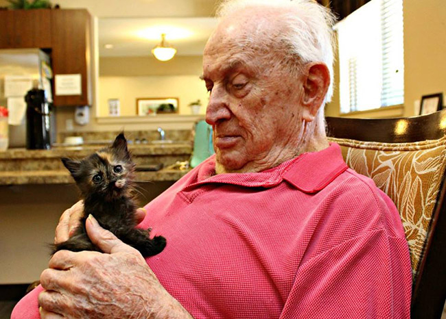 nursing home bottle feeds kittens