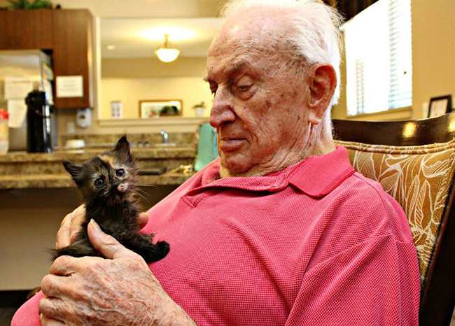 nursing home bottle feeds kittens