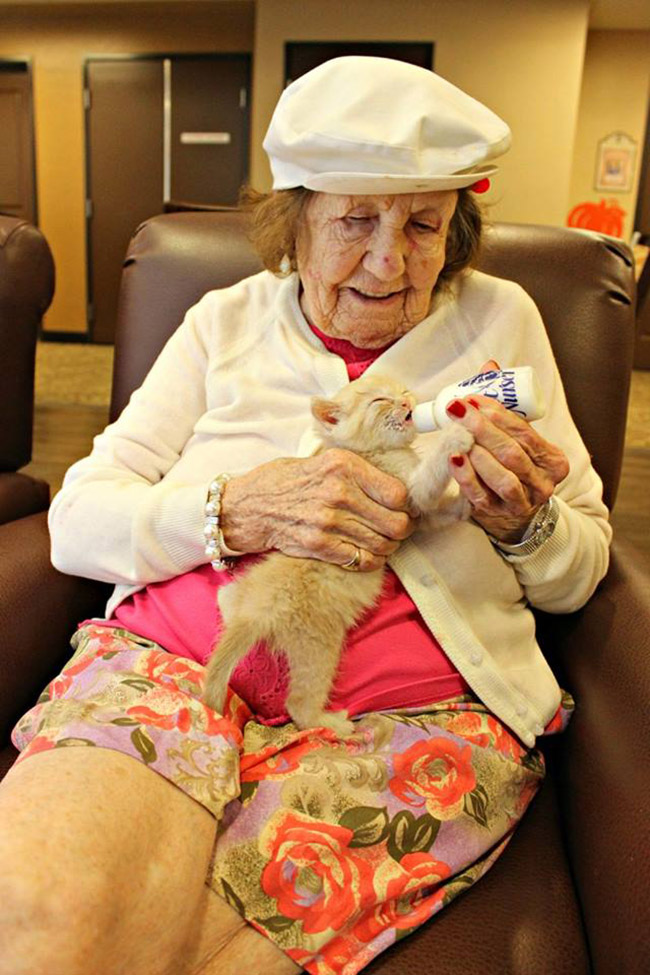 nursing home bottle feeds kittens