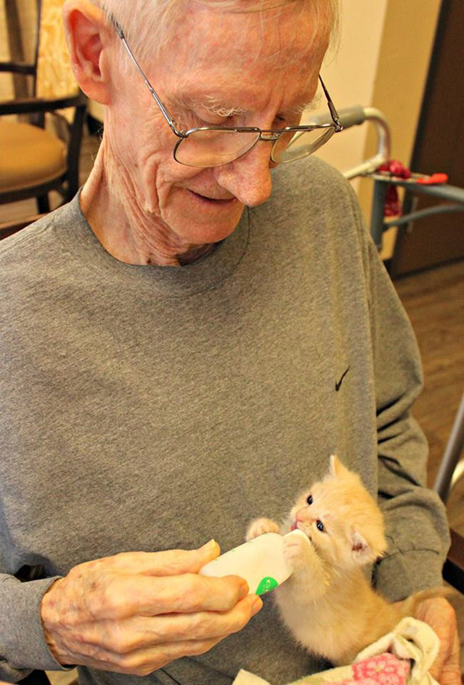 nursing home bottle feeds kittens