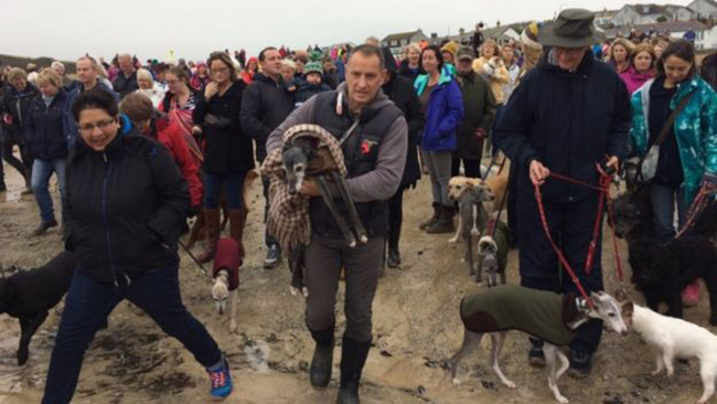 hundreds join walnut final walk on beach