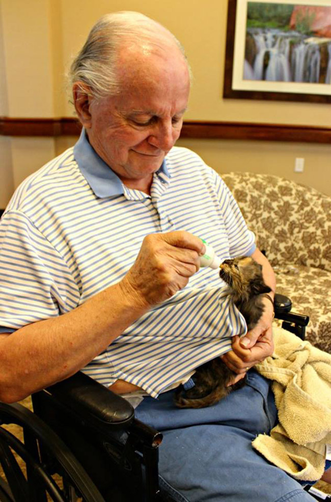 nursing home bottle feeds kittens