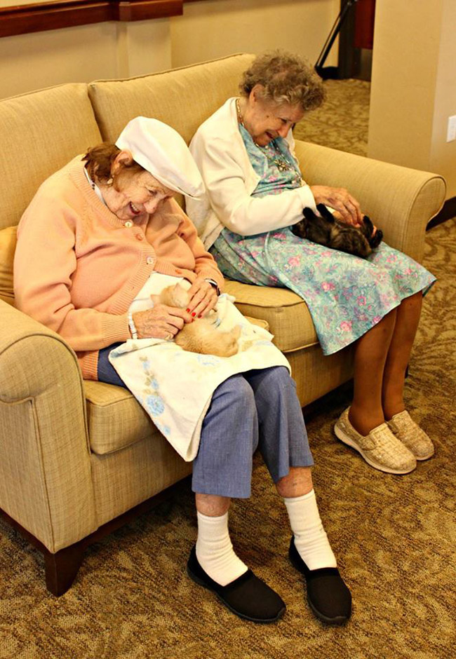 nursing home bottle feeds kittens