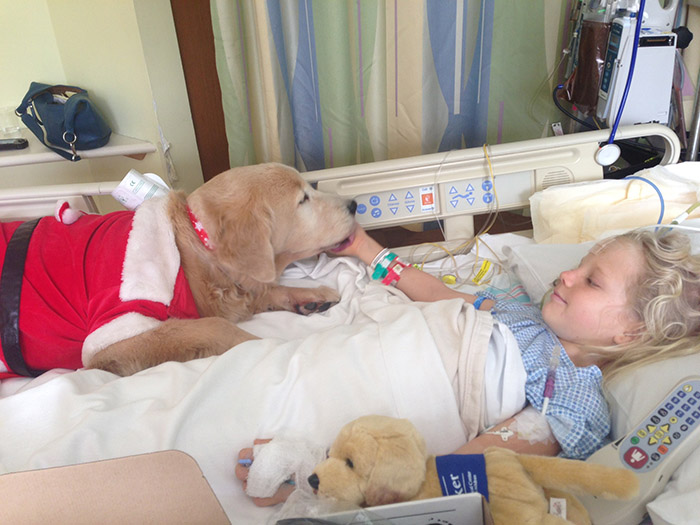 therapy dogs kids hospital help recovery time