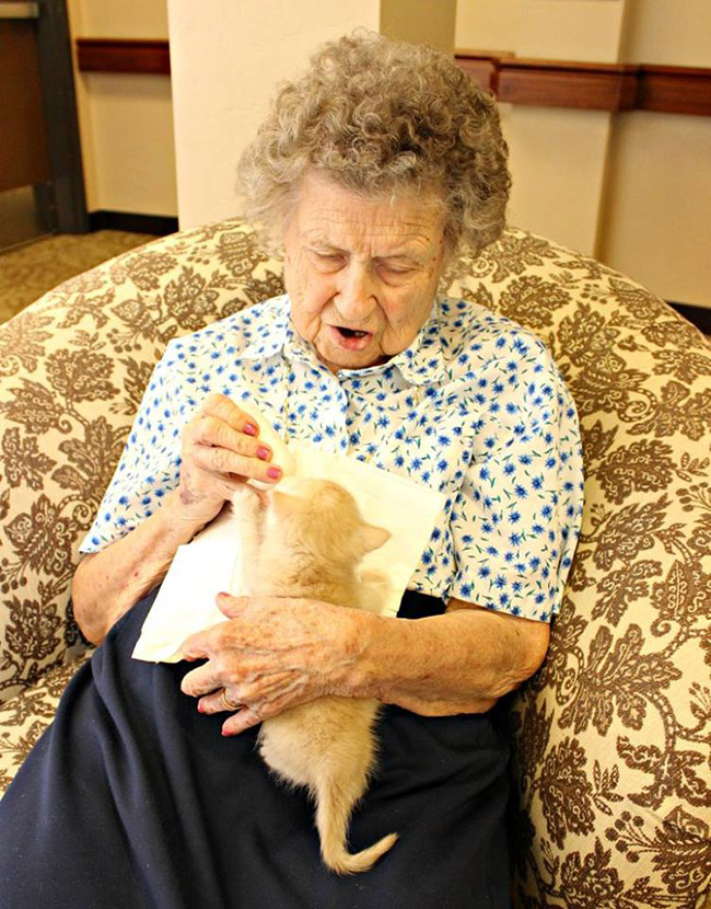 nursing home bottle feeds kittens