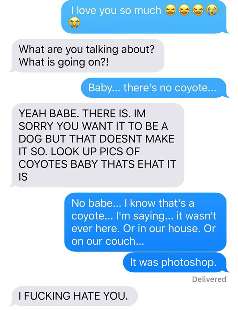 wife pranks husband coyote text messages