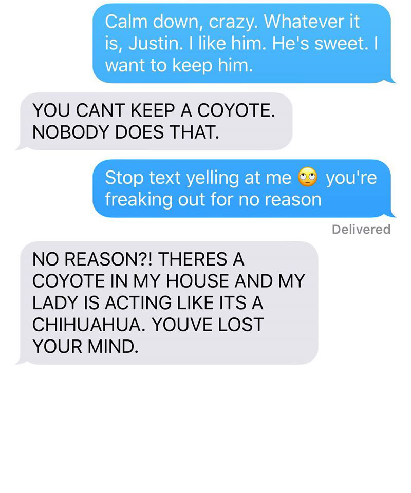 wife pranks husband coyote text messages