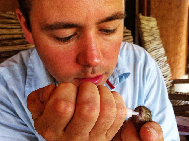 man rescues baby squirrel