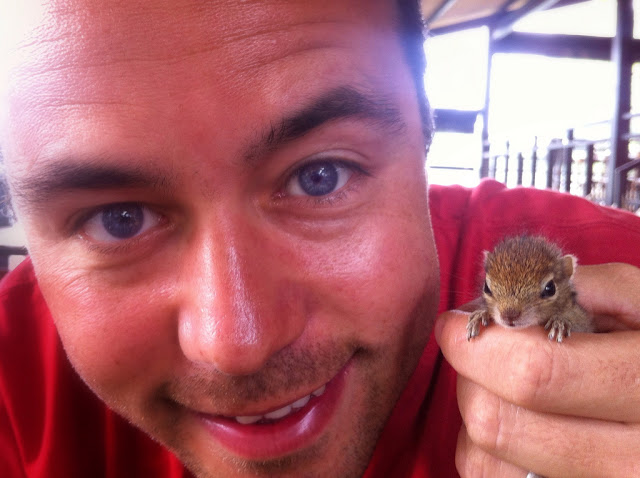 man rescues baby squirrel