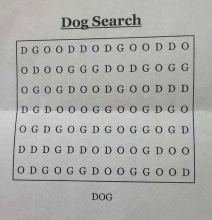 can you find dog in word search