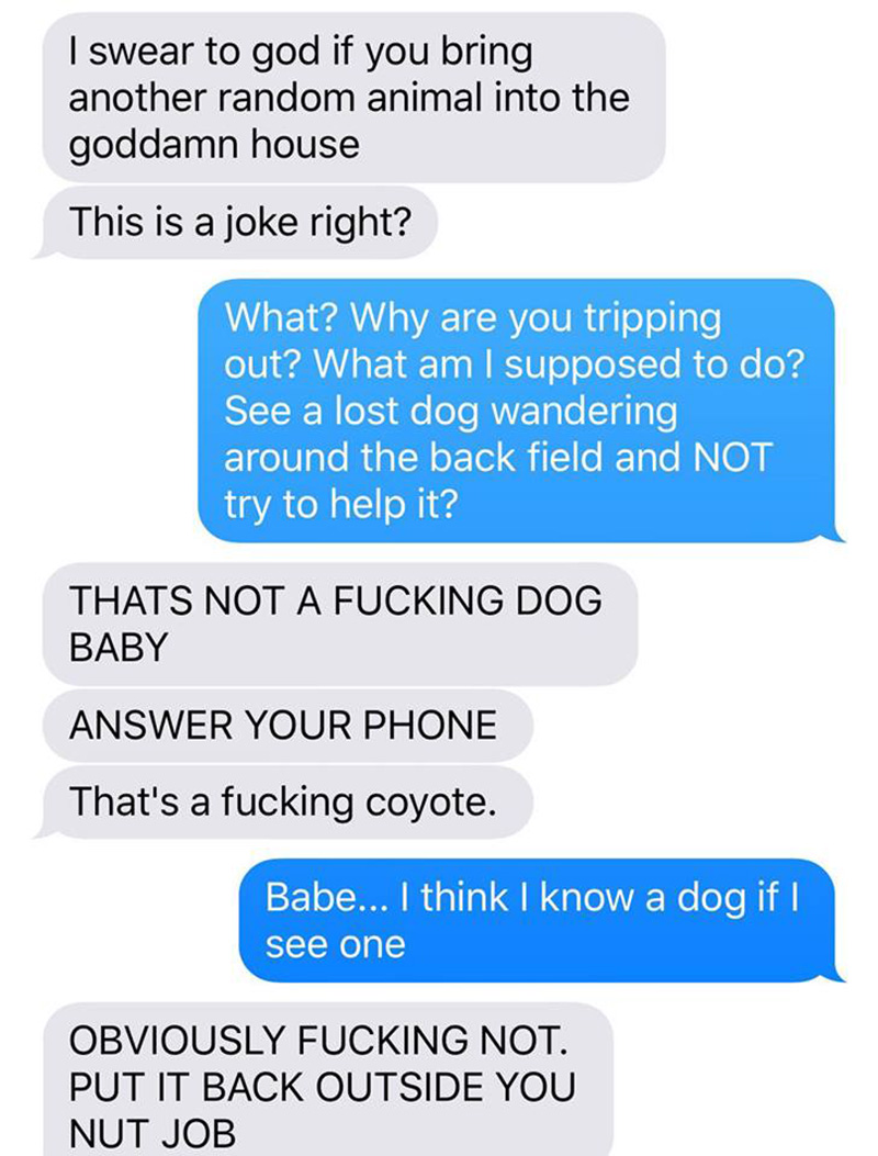 wife pranks husband coyote text messages