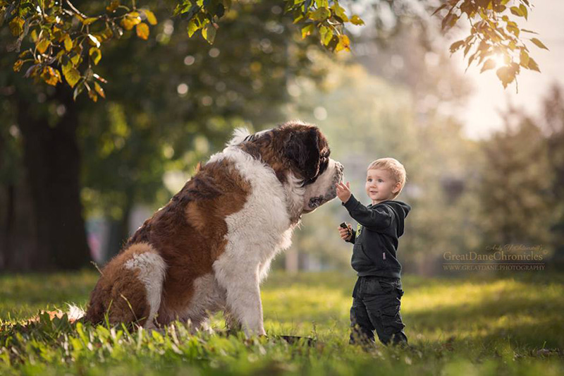 little kids and their big dogs