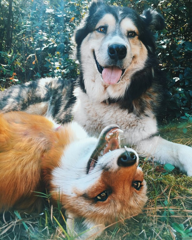 the most magical photo ever