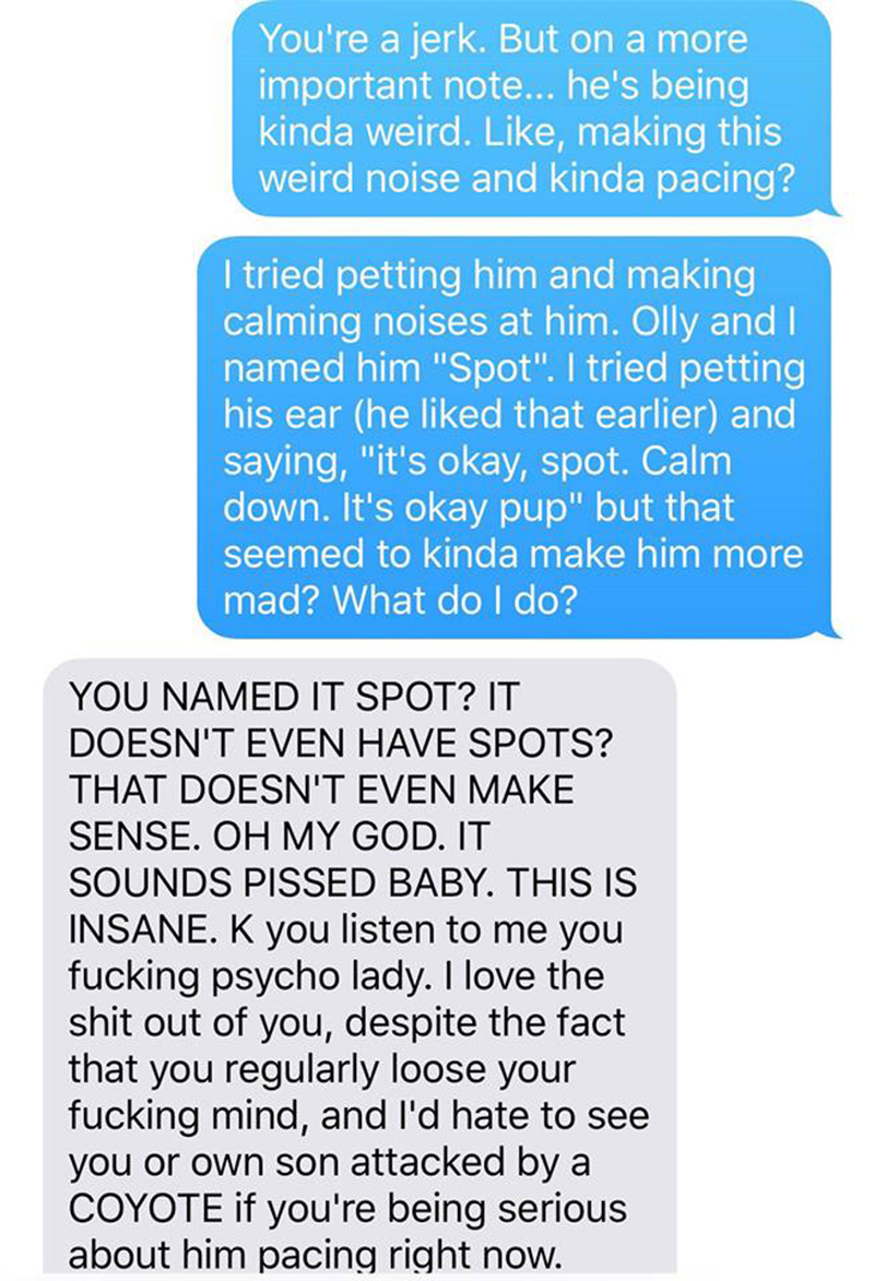 wife pranks husband coyote text messages