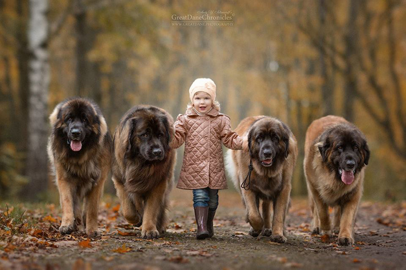 little kids and their big dogs