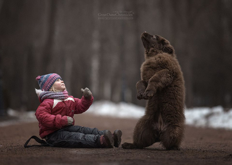 little kids and their big dogs