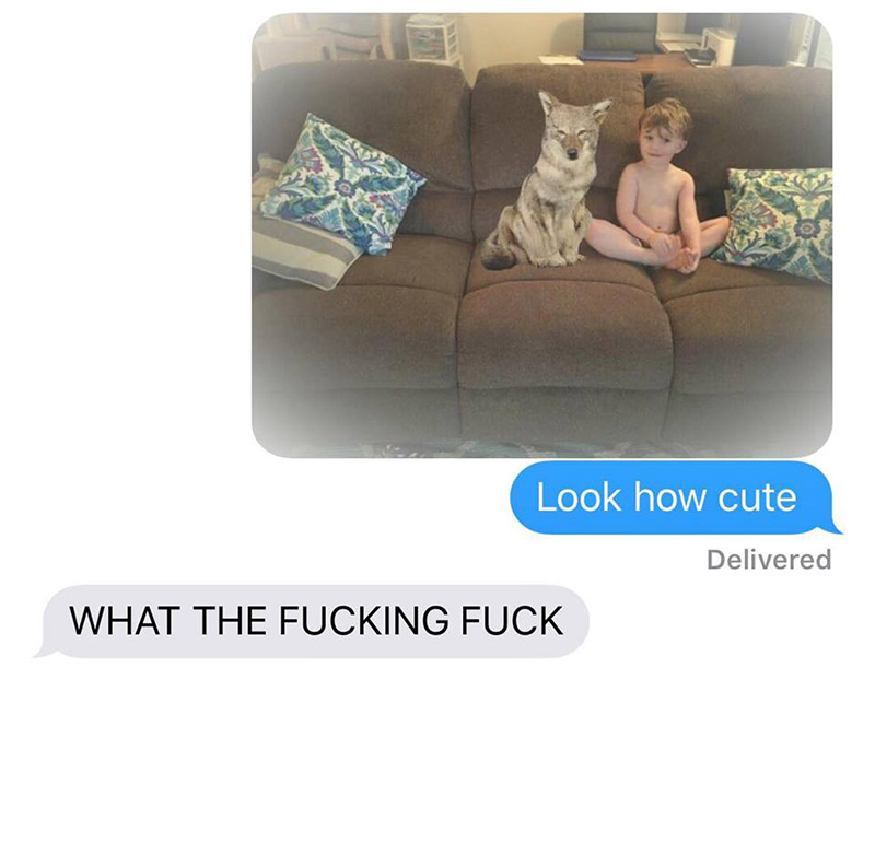 wife pranks husband coyote text messages