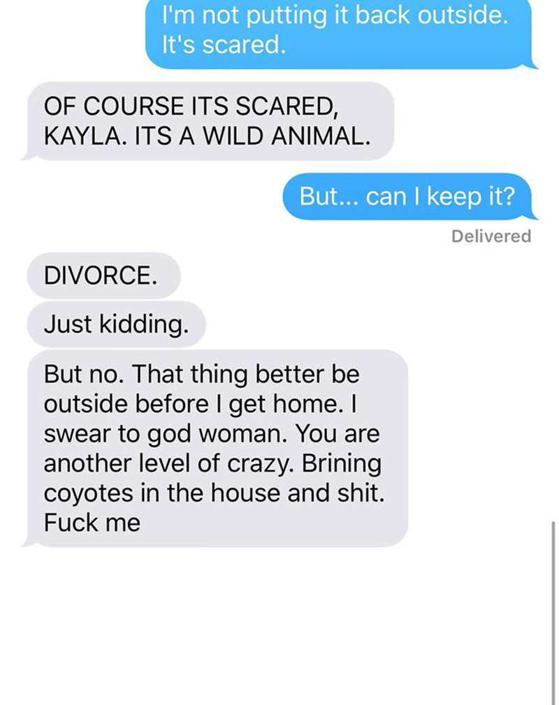 wife pranks husband coyote text messages