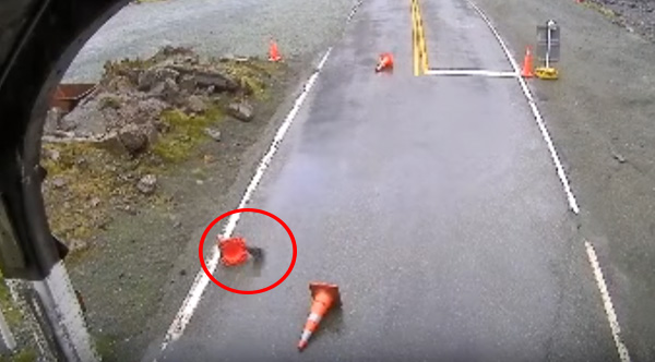 kea birds traffic cones in road