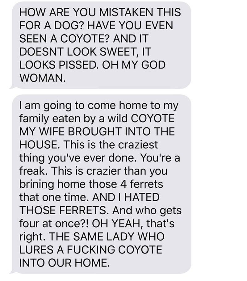 wife pranks husband coyote text messages