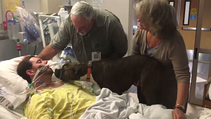 dog visits dying owner in hospital
