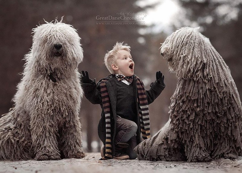 little kids and their big dogs