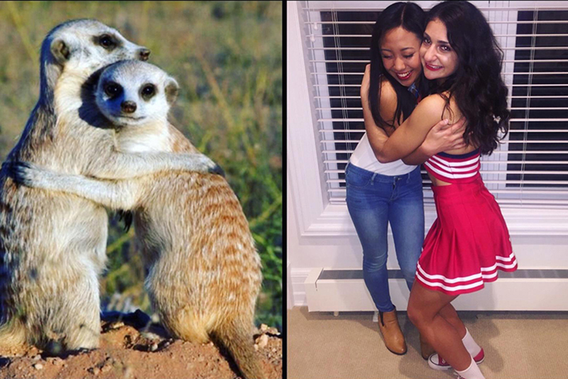 sorority sisters meerkats pose funny pictures