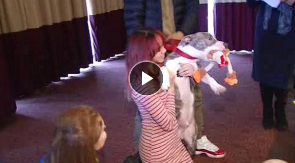NYC Held A Glamorous Party For A Pit Bull Puppy That Saved A Teen From Rape