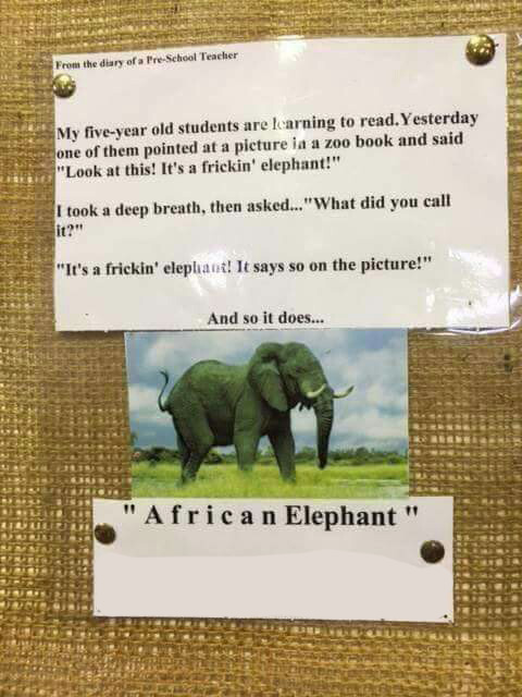 Kid Says Look It s A Frickin Elephant Then His Teacher Can t