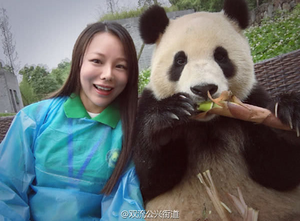 giant panda selfies