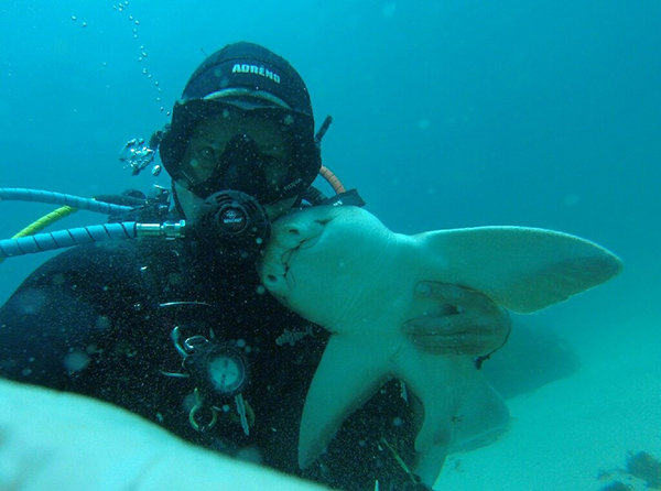 shark cuddles with diver
