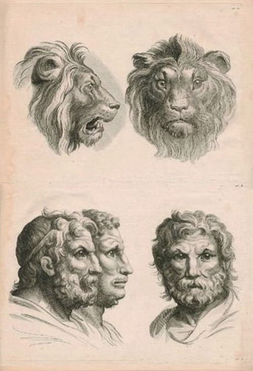 illustration of humans evolved from other animals