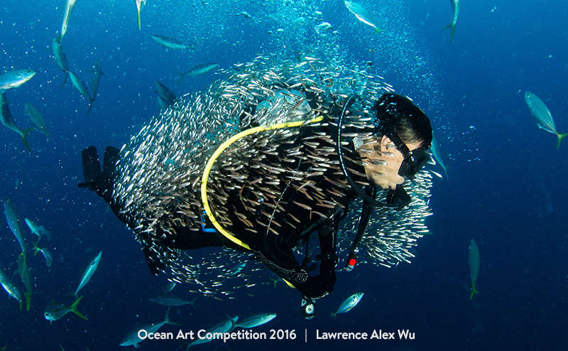 ocean underwater photography awards 2017