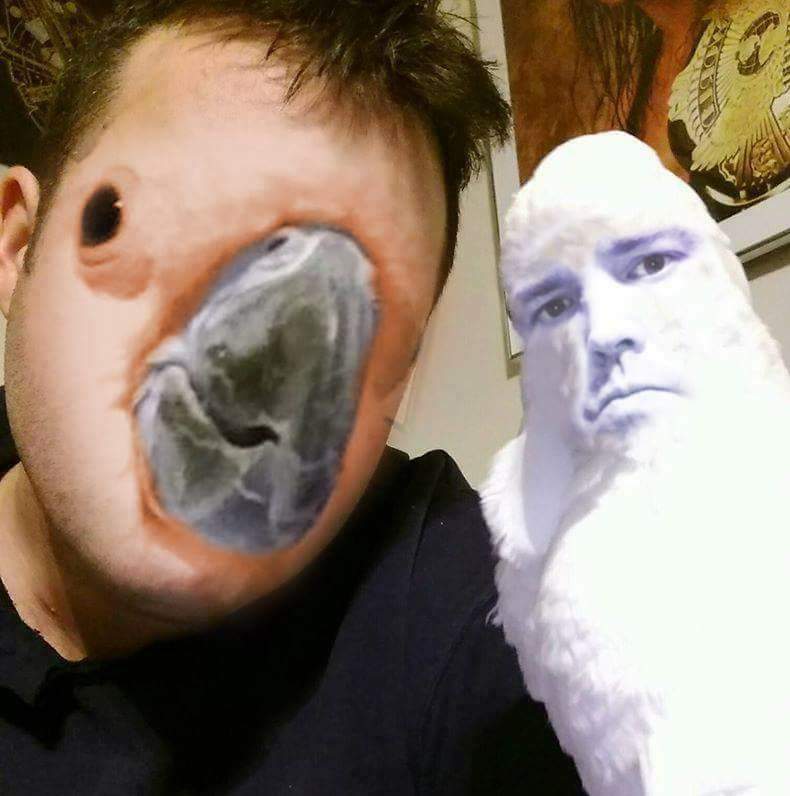 parrot face swap