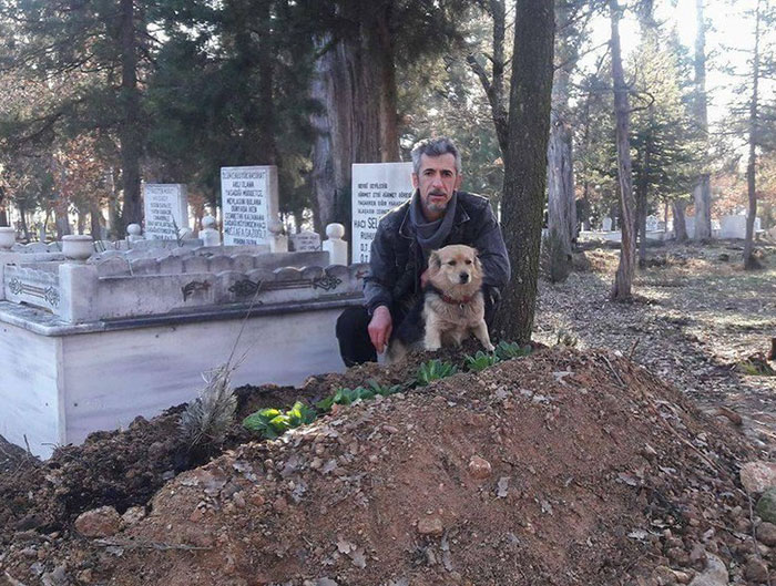 dog visits owners grave every day