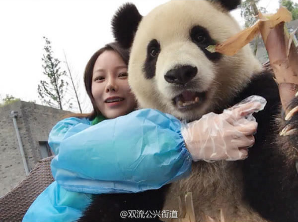 giant panda selfies