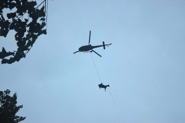 horse rescue bridge helicopter