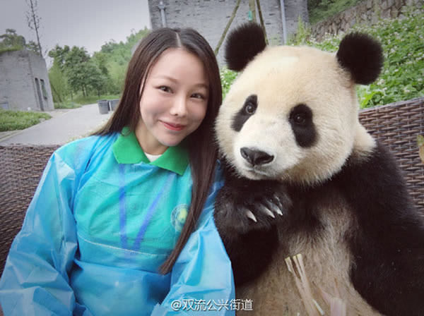 giant panda selfies