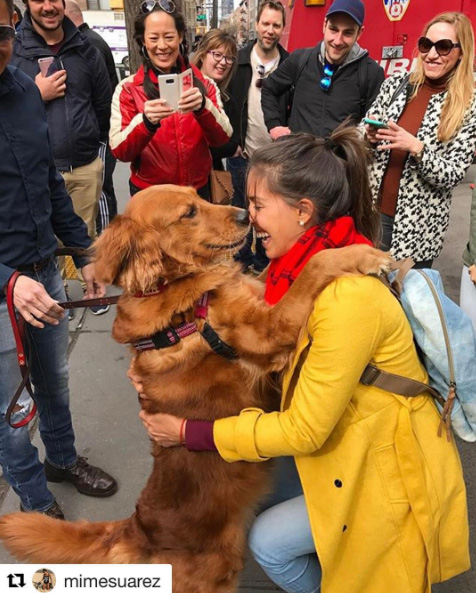 This Golden Retriever Hugs Everyone She Meets