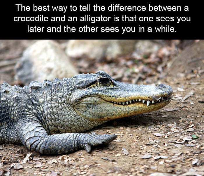 People Are Sharing These Terrible 'Life Tips' And They're Hilarious People Are Sharing These Terrible 'Life Tips' And They're Hilarious