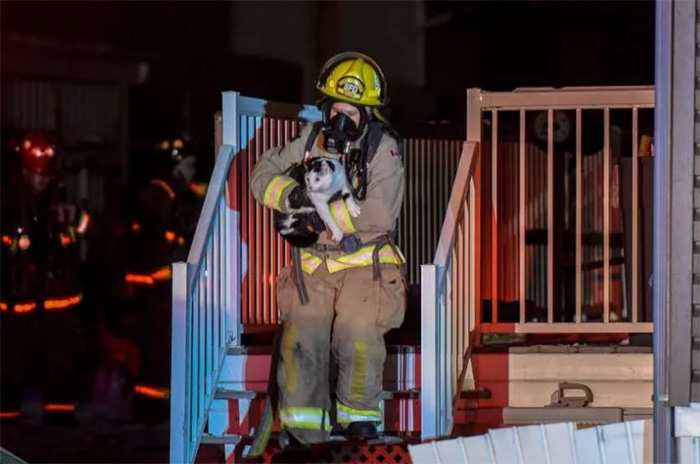 cat saves family from fire