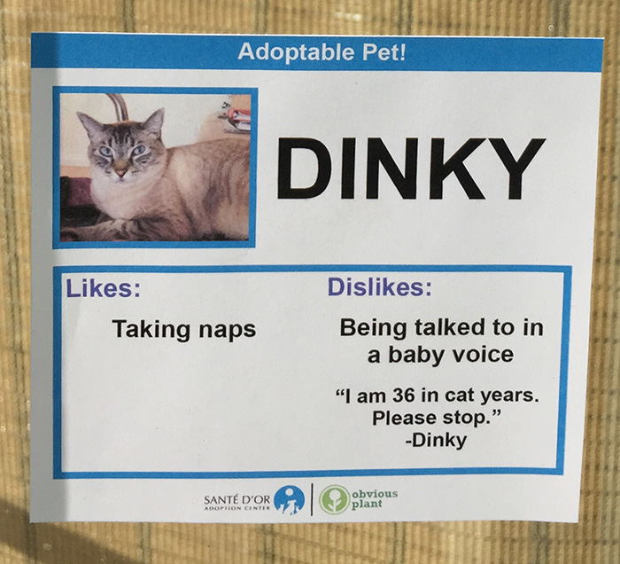 dinky