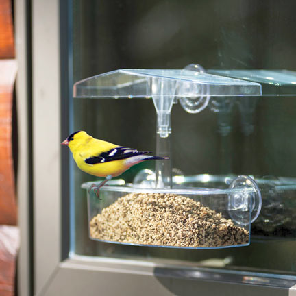 Attach A Bird Feeder To Your Window To Keep Your Kitty Entertained