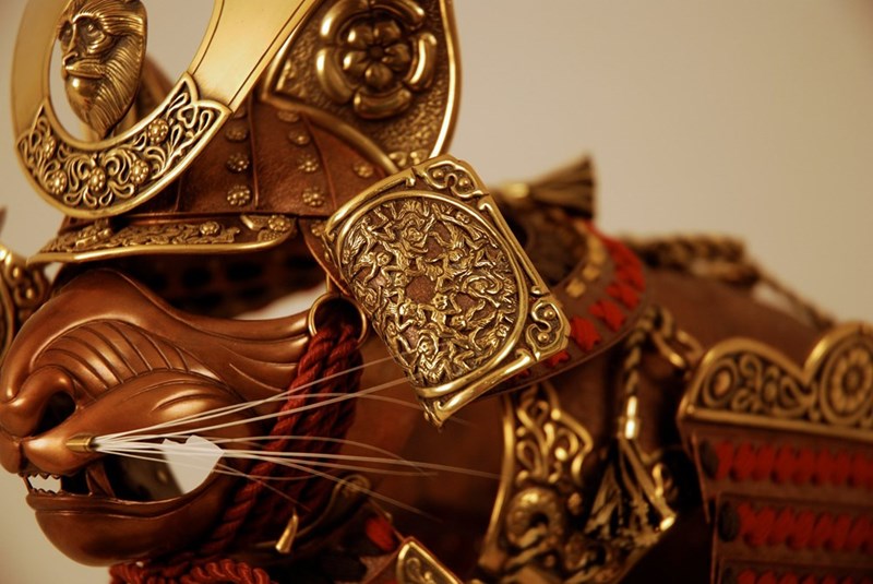 cat armor 2