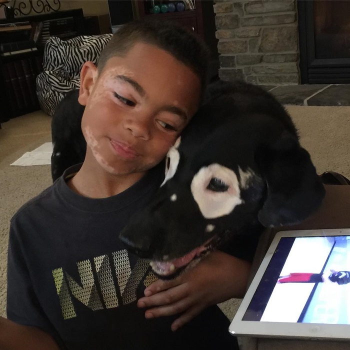 boy dog with vitiligo